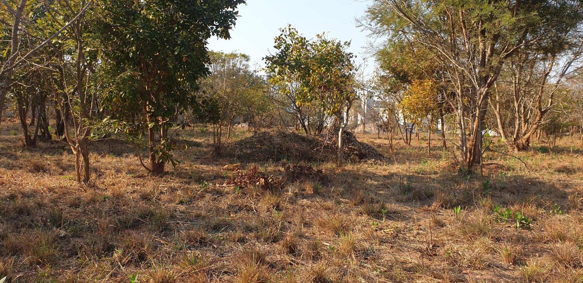 Villa Lombe, Off Great East Road, Silverest Silver Rest Buitenkant foto